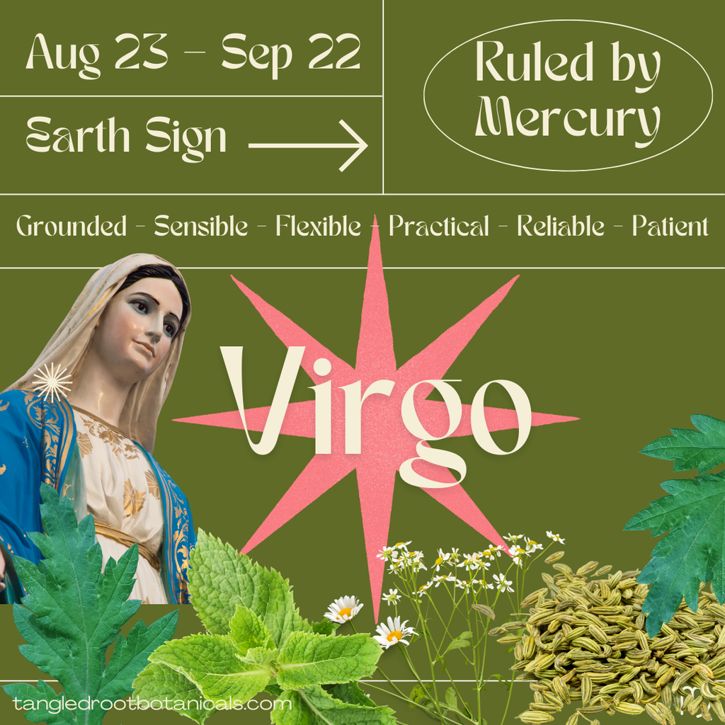 Virgo’s Herbal Allies: Nurturing the Sacred Body with Earth’s Medicine