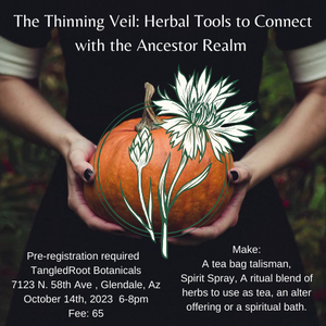 The Thinning Veil: Herbal Tools to Connect with the Ancestor Realm