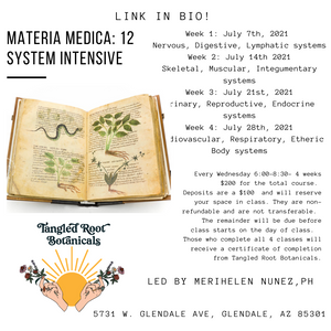 Materia Medica: 12 System Intesive  -SOLD OUT